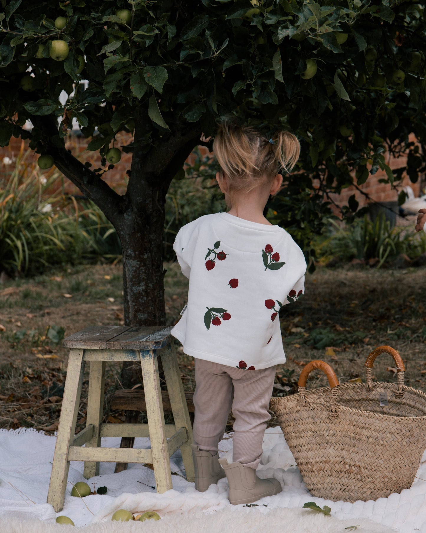 Raspberry Patch Sweater